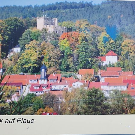 Ferienwohnung Burgblick Plaue  Екстериор снимка